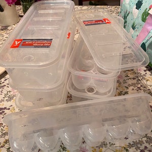 Egg carton blanks