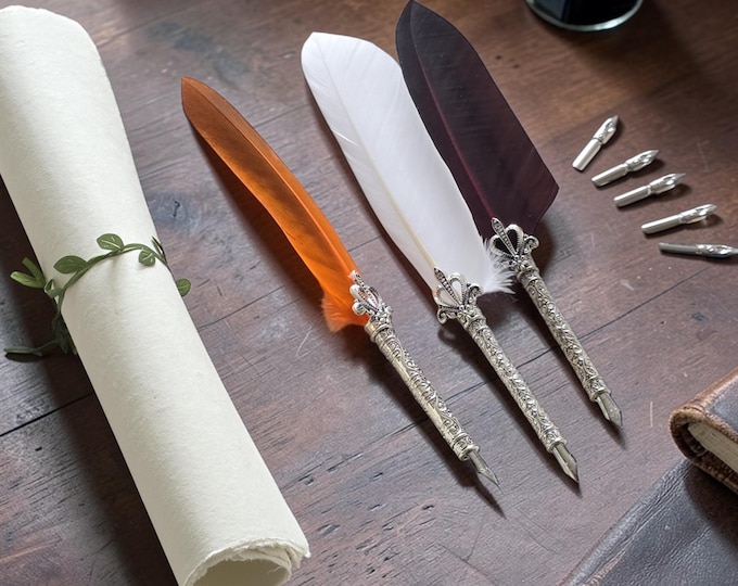 Feather Quill Dip Pen Set with 5 Nibs & Handmade Paper – Vintage Calligraphy Writing Tool
