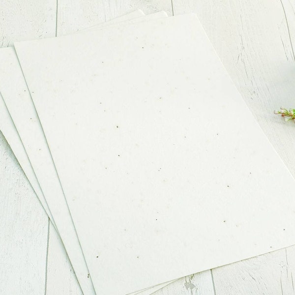 Basil Seed A4 Size Paper, Seed Paper, Seed Embedded Paper, plantable Paper, Germination Paper, - Ideal for Wedding Invites, Thank you Notes
