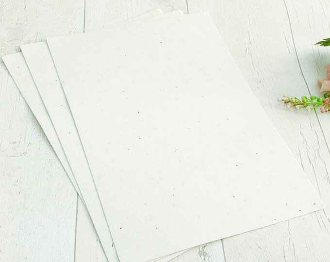 Basil Seed A4 Size Paper Seed Paper Seed Embedded Paper Etsy