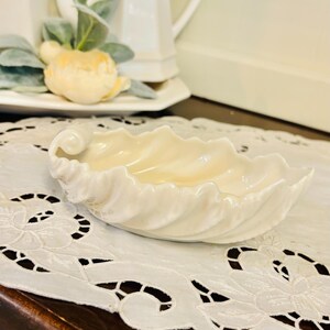 May include: A cream-colored ceramic dish shaped like a seashell with a glossy finish and a curled edge. The bowl features a scalloped rim and a smooth, curved interior surface, designed with a distinct shell-like texture on the exterior.