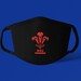 JAMES E JOHNSTON reviewed Wales Rugby Face Mask, Black Face Mask, Adjustable, Washable, Reusable Face Mask P090207
