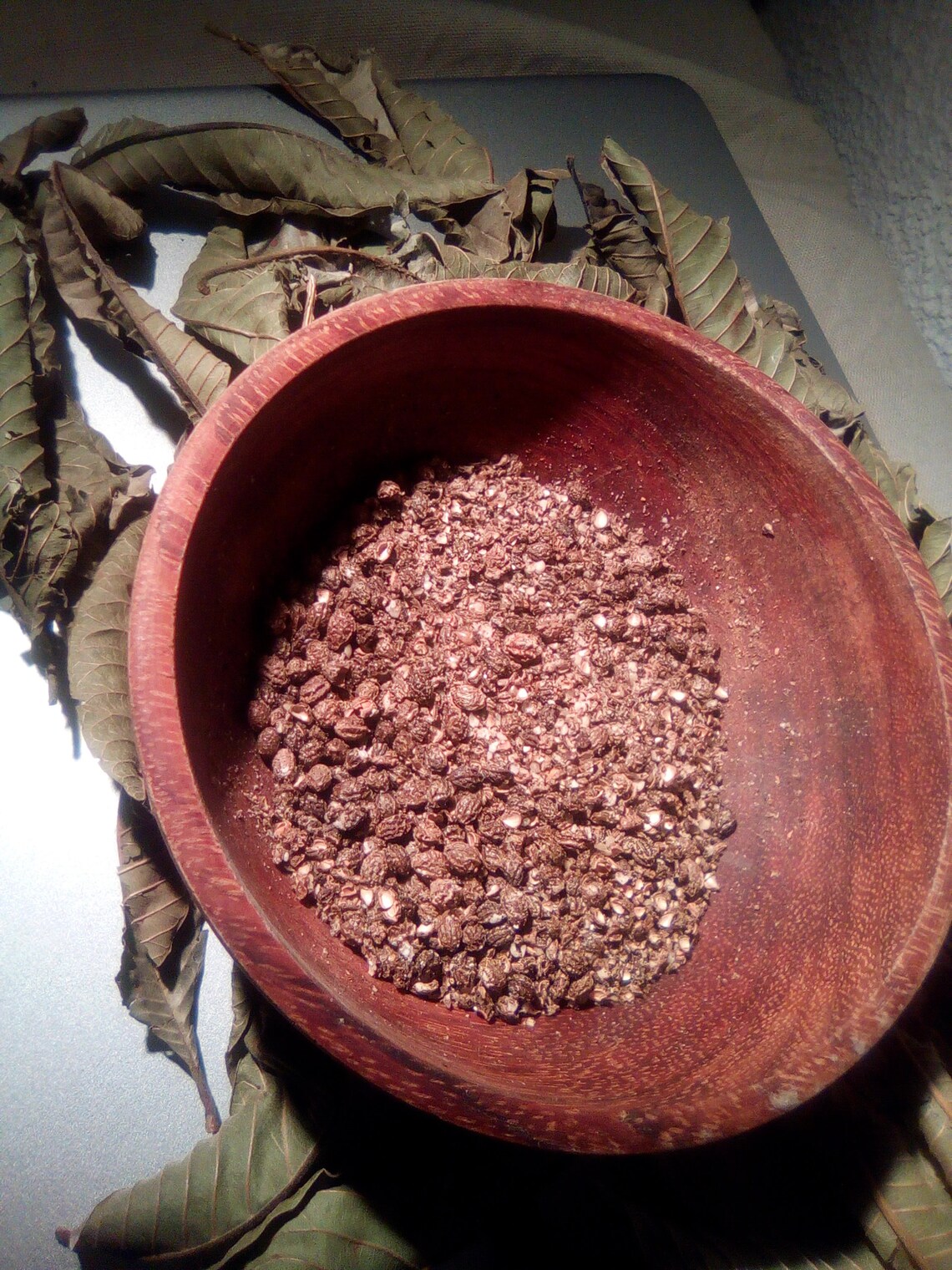 Dried papaya seeds 100 Organic plain and untreated raw foods Etsy