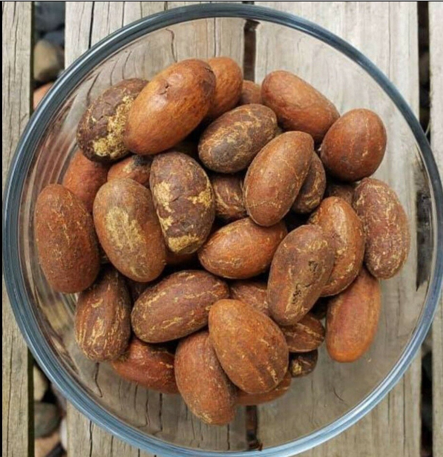 Petit Noix de Petit Cola 100 G