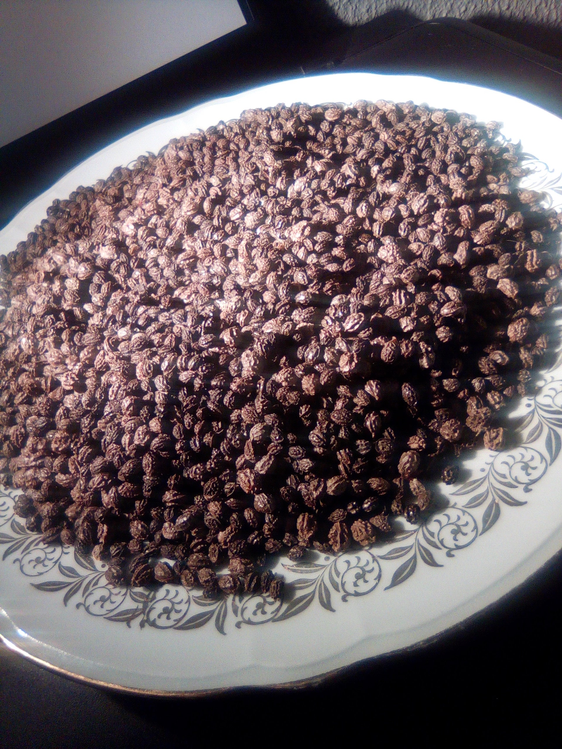 Dried papaya seeds 100 Organic plain and untreated raw foods Etsy