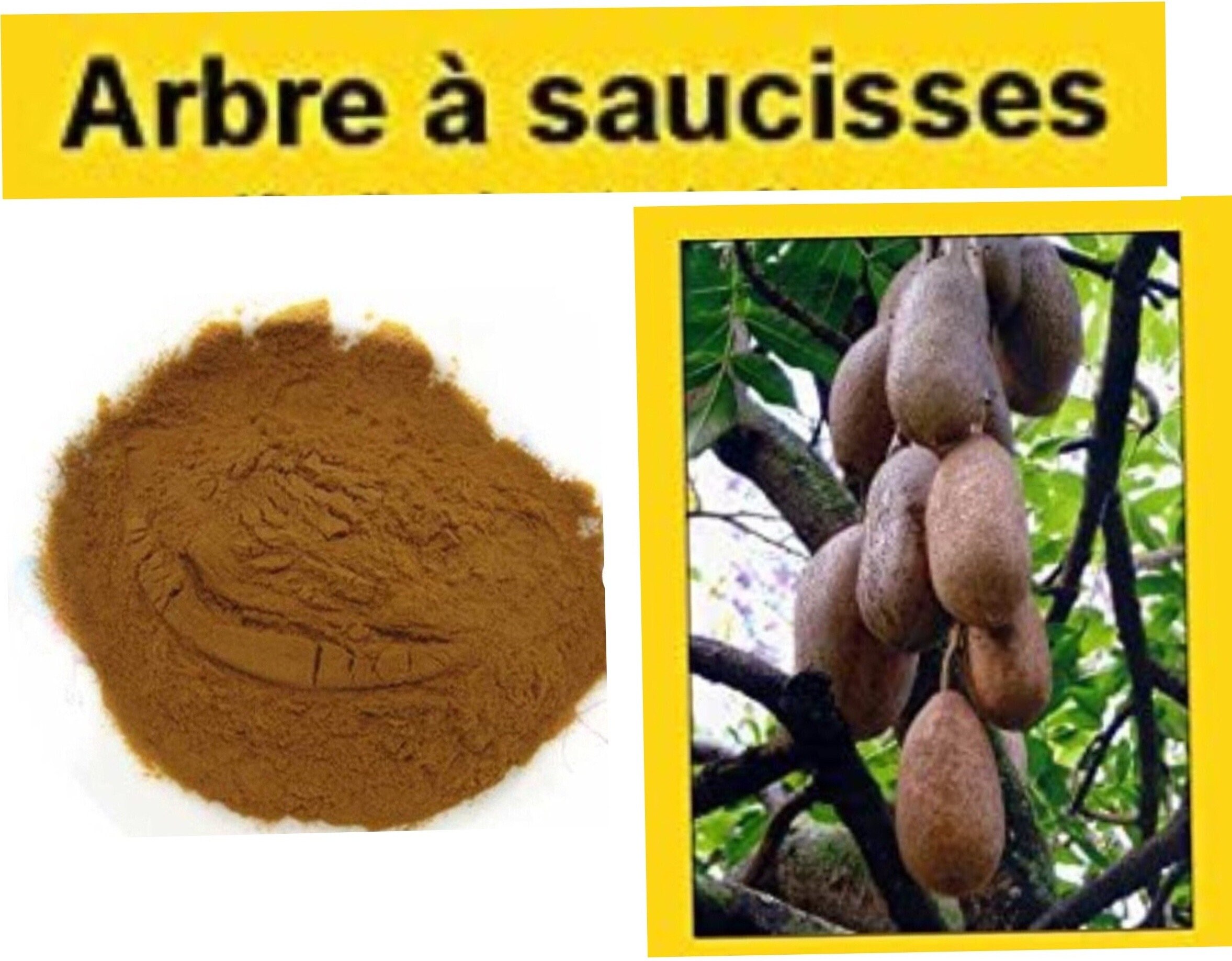 Poudre de Kigelia Afrina 100 % Naturel 200 G