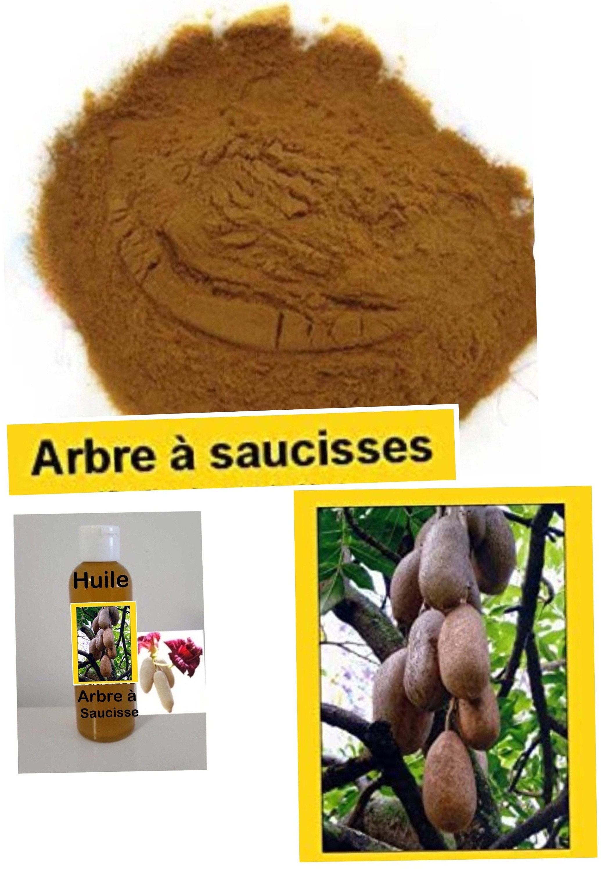 Kit Arbre à Saucisse Africana Poudre 50 G Huile 100 Ml 100% Naturel