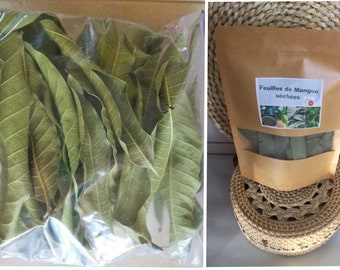 Feuille Azyme Gateau Etsy