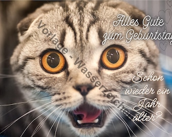 Printable birthday card set with cat designs, 8 cards available in A4 and A5 sizes, digital download, cat motifs, 8 different designs + 4 free cat poems