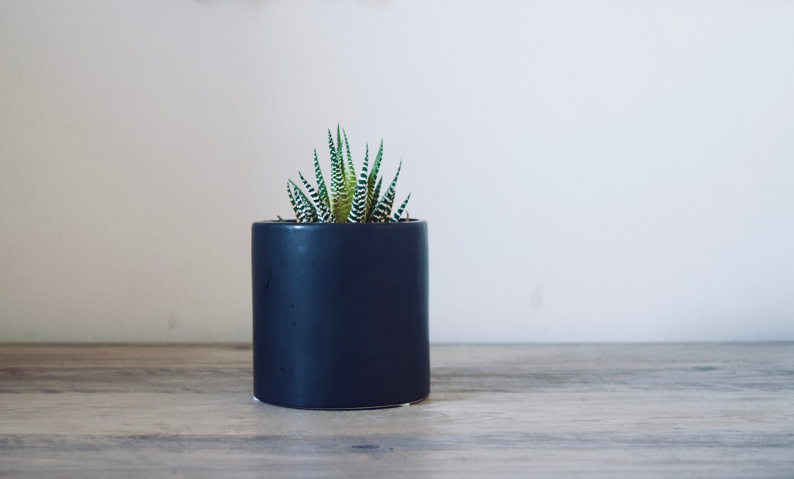 Jersey City Planter Custom Planter Jersey City Gift Etsy