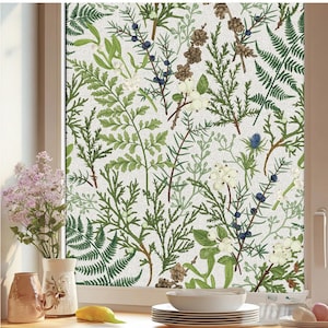 Könnte beinhalten: Fensterfolie mit einem botanischen Muster aus grünen Blättern, Beeren und Tannenzapfen auf weißem Hintergrund. Das Design umfasst Farne, Zweige und kleine weiße Blüten. Die Folie ist in einem Fenster angebracht.