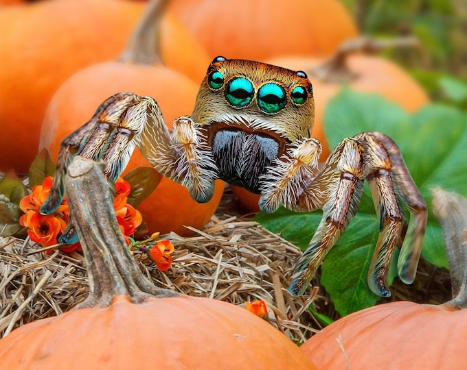 Green-Eyed Spider Yard Stake: Creepy Halloween Garden Decor