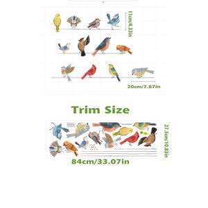 May include: A sheet of bird-themed wall decals. The decals feature various colorful bird illustrations, with dimensions of 11 inches by 7.87 inches and 33.07 inches by 10.83 inches. The text "Trim Size" is also included.