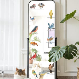 May include: A full-length, black-framed mirror with decorative bird decals. The mirror reflects a room with a cat, plants, and a window. The birds are various colors and perched on small, white shelves.