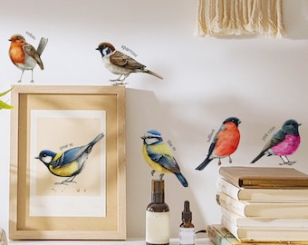 Zes vogel muur sticker set, Mus/BlueTit/Goudvink/Koolmees/Robin muurstickers, verwijderbare Peel en Stick slaapkamer muurstickers, raamsticker