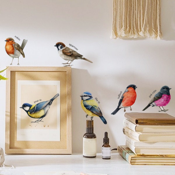 Six Bird Wall Decal Set,Sparrow/BlueTit /Bullfinch /Great Tit/Robin Wall Stickers,Removable Peel and Stick Bedroom Wall Decals,Window Decal