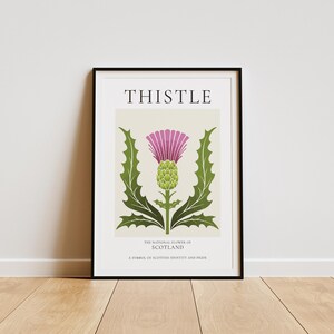 May include: A framed print with the word "THISTLE" in black text at the top. The print features a stylized illustration of a purple thistle, the national flower of Scotland. The text below the image reads "The national flower of Scotland. A symbol of Scottish identity and pride."