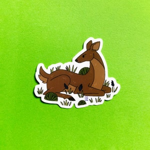 Adesivo de vinil fosco à prova d&#39;água DEER