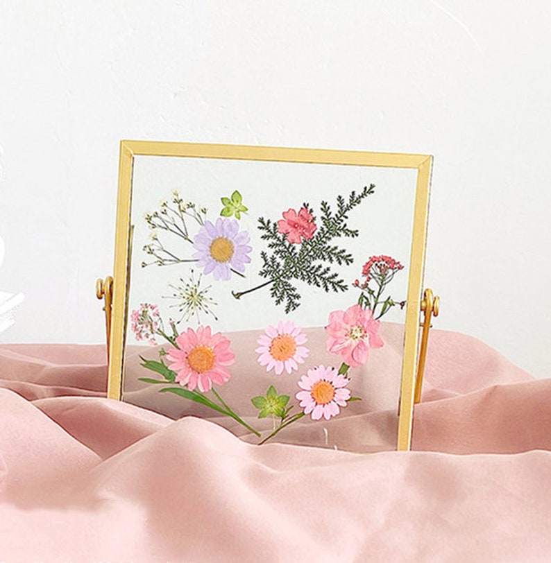 Pressed Flower Frame Wall Hanging Herbarium Frame Pressed Etsy