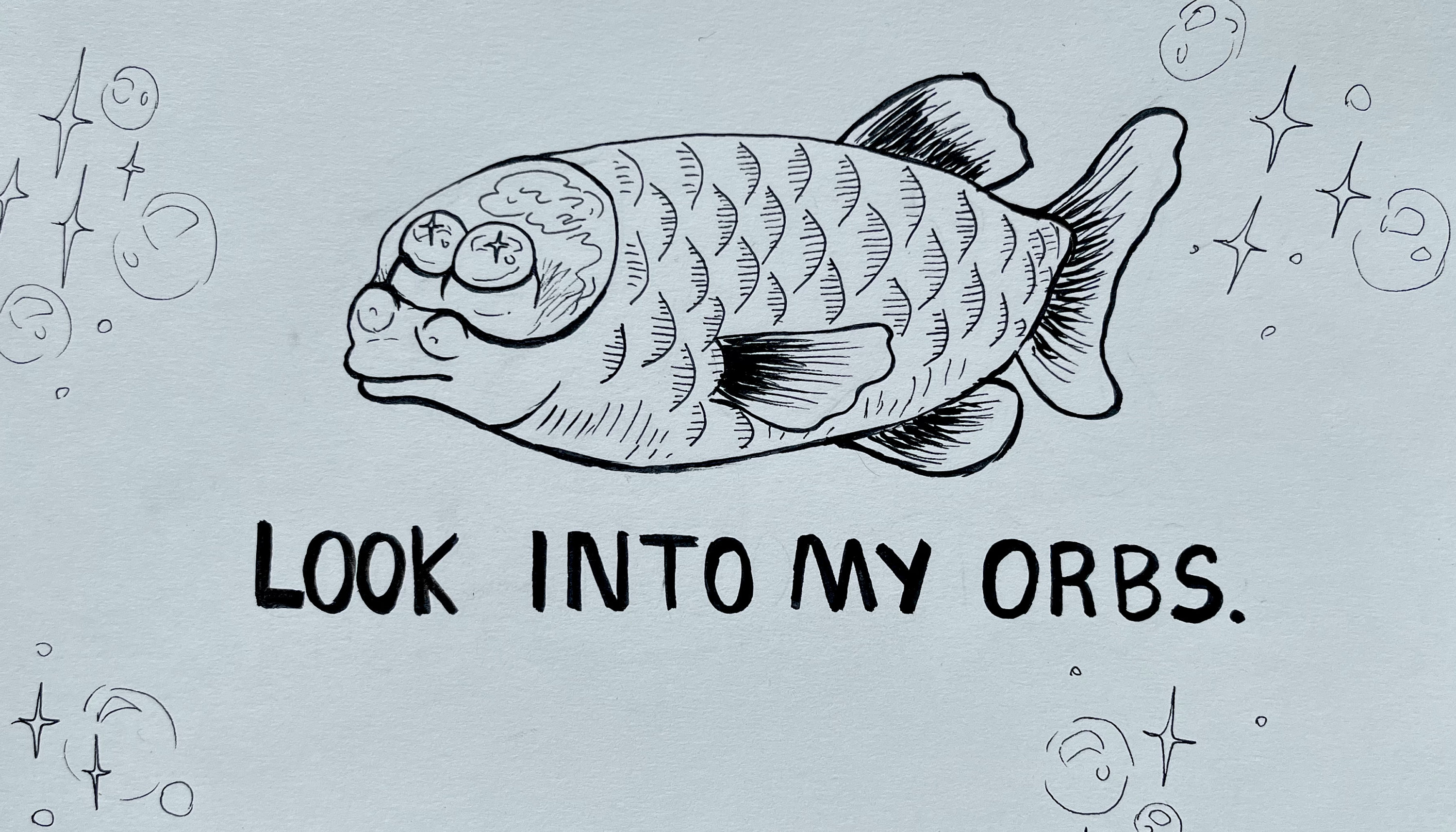 Fish Wizard Custom Fish | Custom Fish Drawing of ANY Fish - Etsy