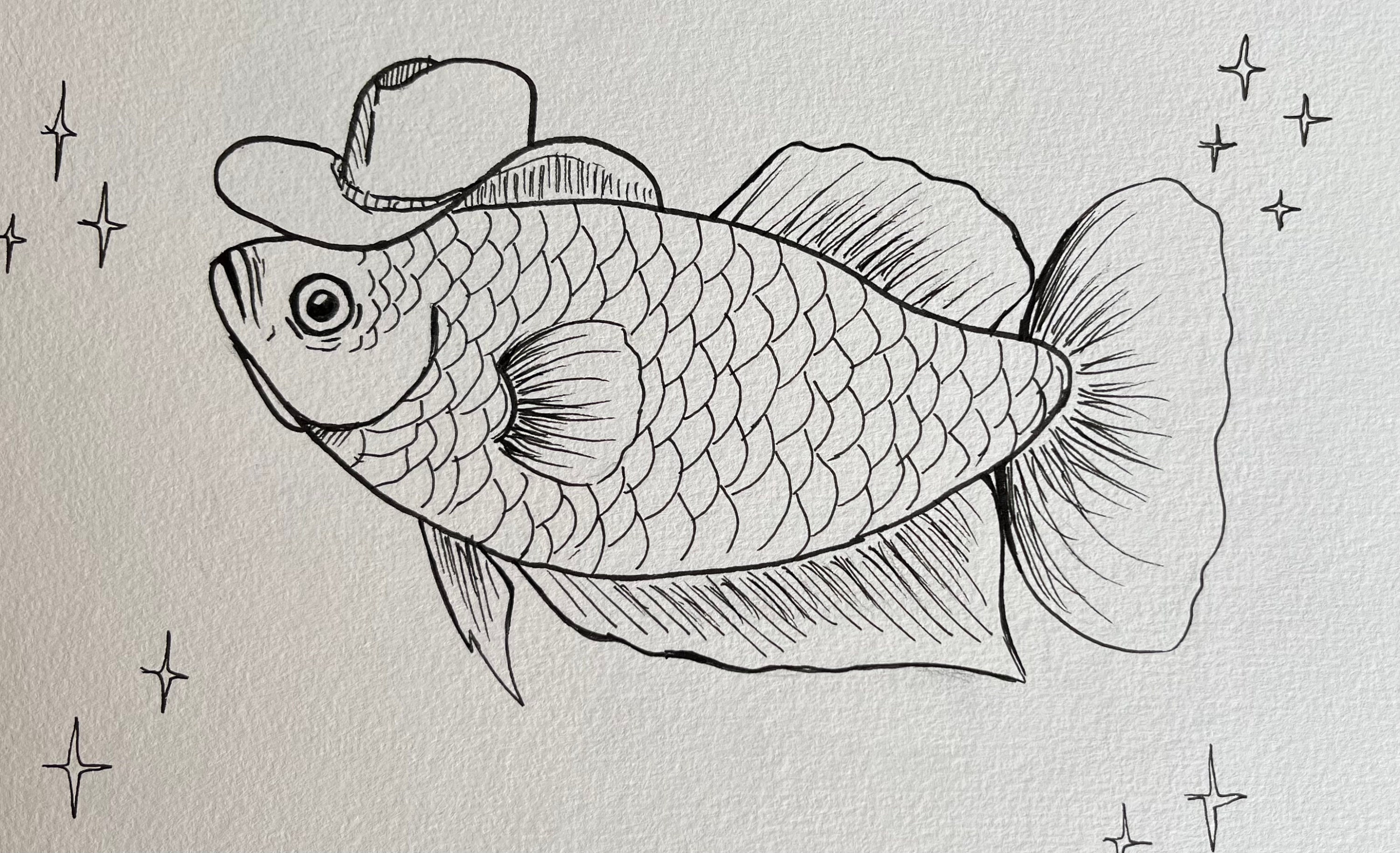Fish Wizard Custom Fish | Custom Fish Drawing of ANY Fish - Etsy