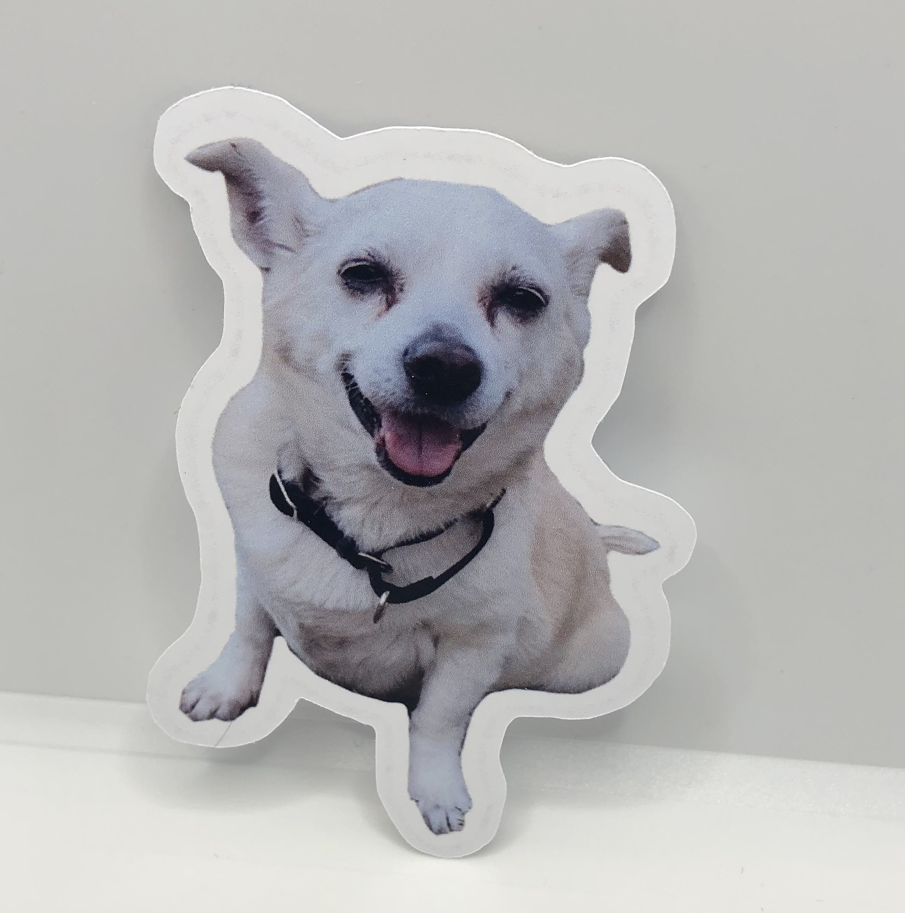 Custom Pet Stickers Realistic sticker of your pets Etsy