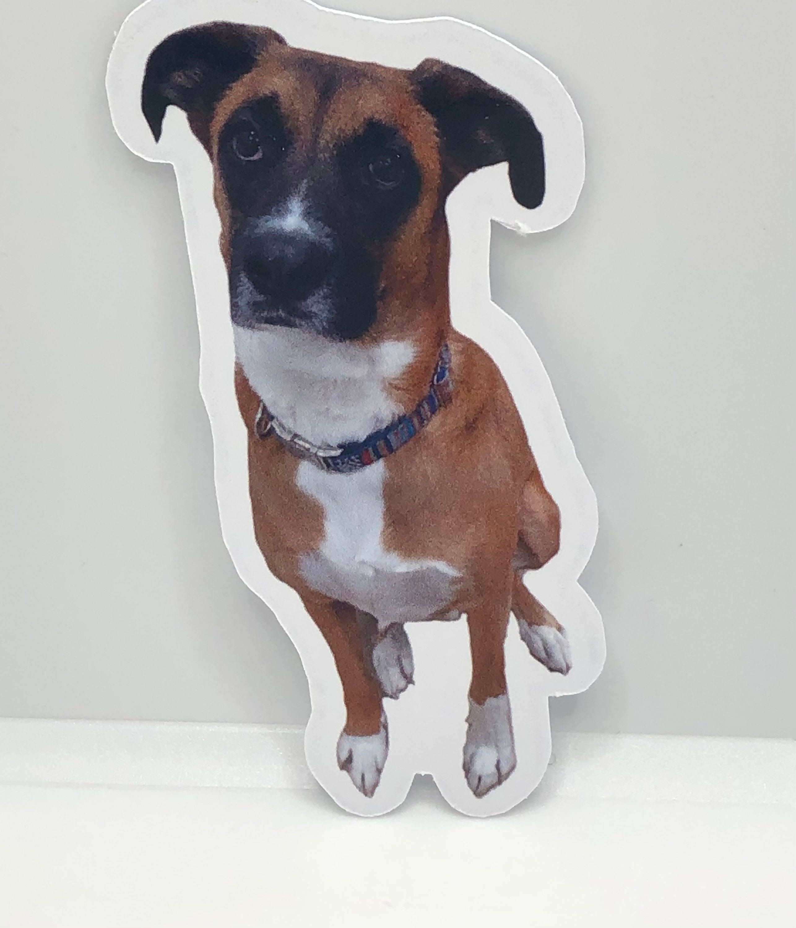 Custom Pet Stickers Realistic sticker of your pets Etsy
