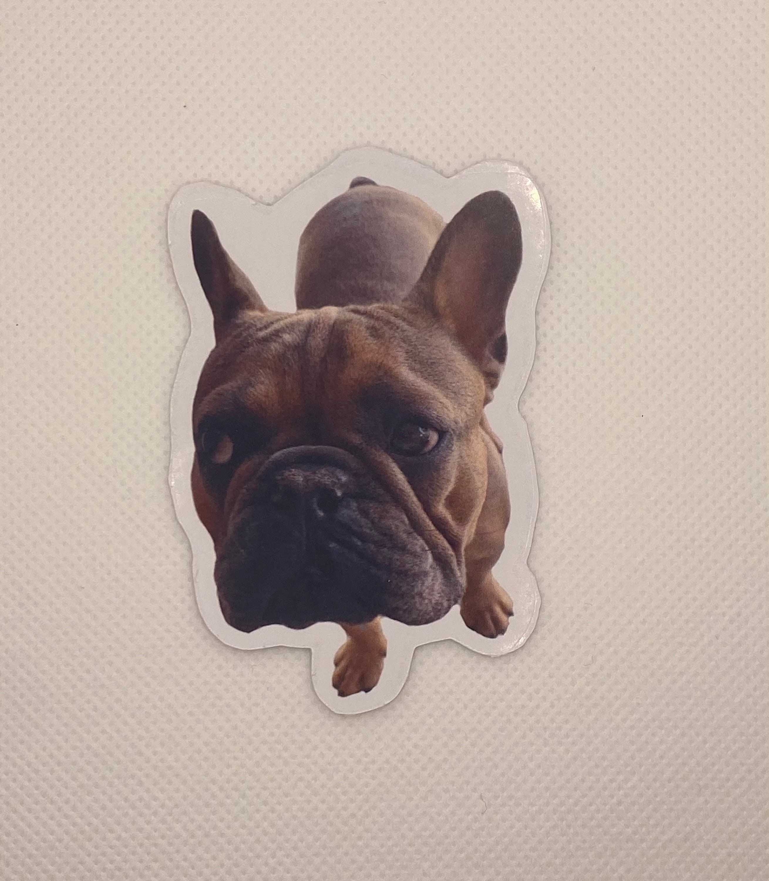 Custom Pet Stickers Realistic sticker of your pets Etsy