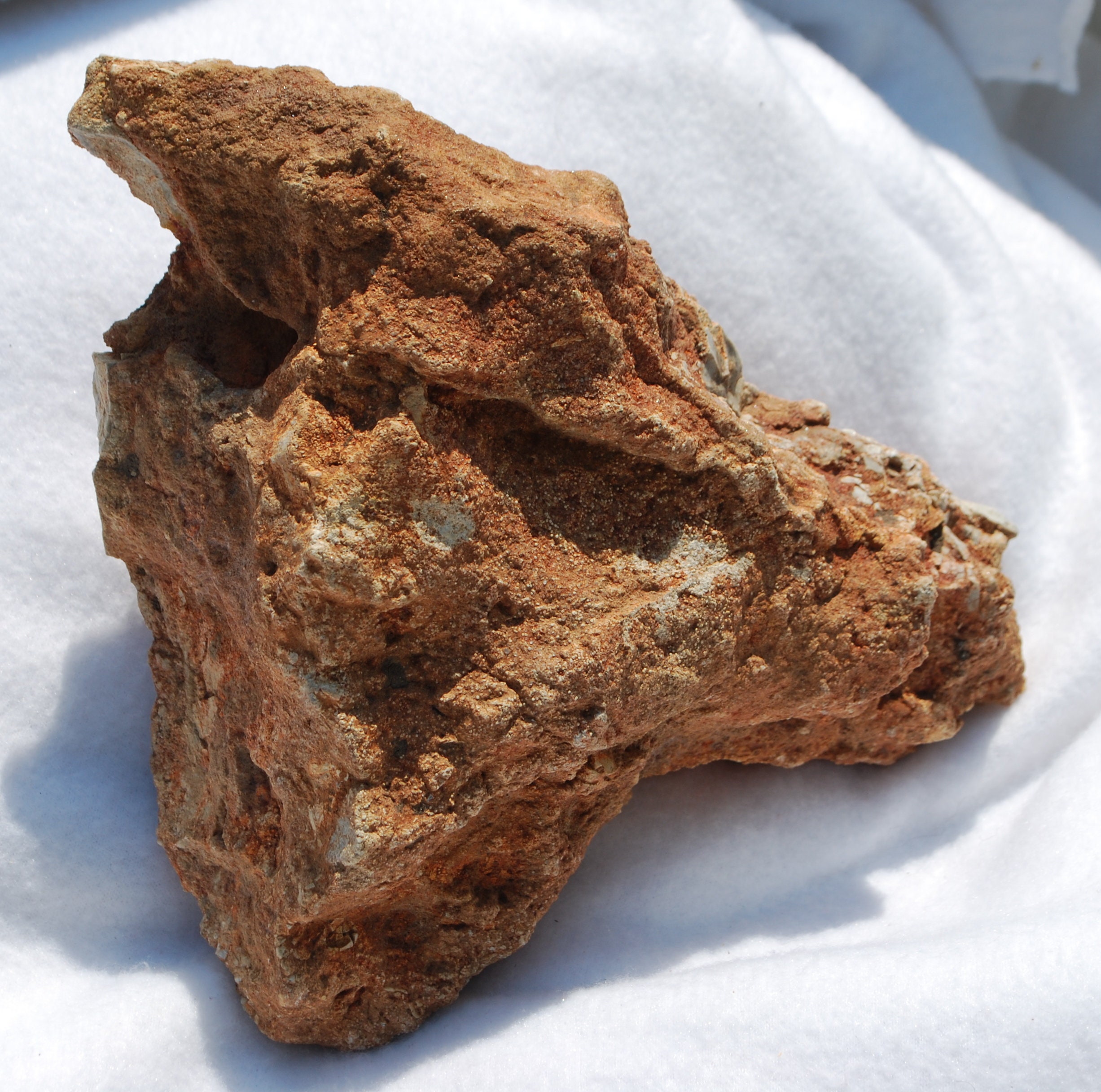 Dragon Effigy Rock Etsy