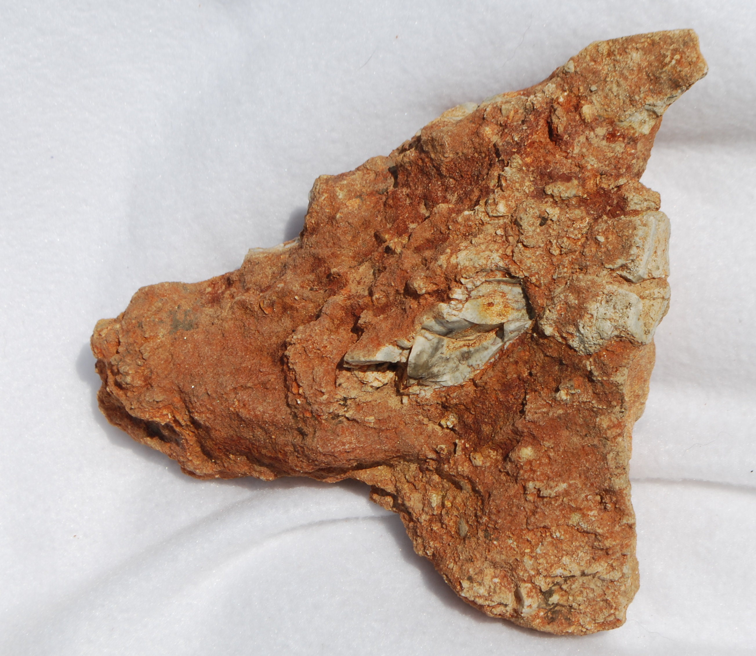 Dragon Effigy Rock Etsy