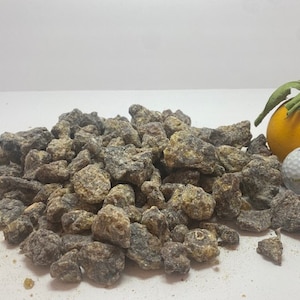 Grade 2 Frankincense Neglecta Tree in Africa | Black Boswellia Rivae | Ships Free from USA