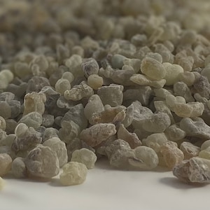 Arabian Frankincense Resin from Arabian Peninsula | Small Tears Hojari Incense | Boswellia Sacra Tree Native to Oman | Ships from the USA