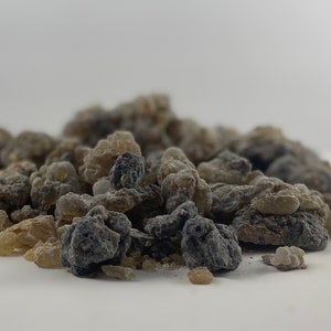 Arabian Frankincense Resin from Arabian Peninsula | Black Hojari Incense | Boswellia Sacra Tree Native to Oman | Ships from the USA