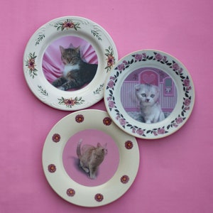 May include: Three decorative ceramic plates with floral designs and images of cats. The plates are white with pink and green floral accents. One plate features a tabby cat, another a white cat with a heart-shaped window, and the third a brown cat.