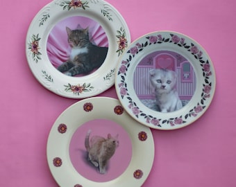 アンブリッジの猫プレートDIYキット：レンチキュラームービング