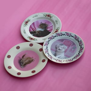 Umbridge's Lenticular Cat Plates Kit, Harry Wizarding School DIY ...
