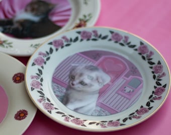 アンブリッジの猫プレートDIYキット：レンチキュラームービング