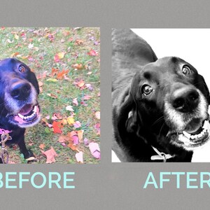 Digital Photo Editing Service - Personalized Custom Photos Perfect for Printing