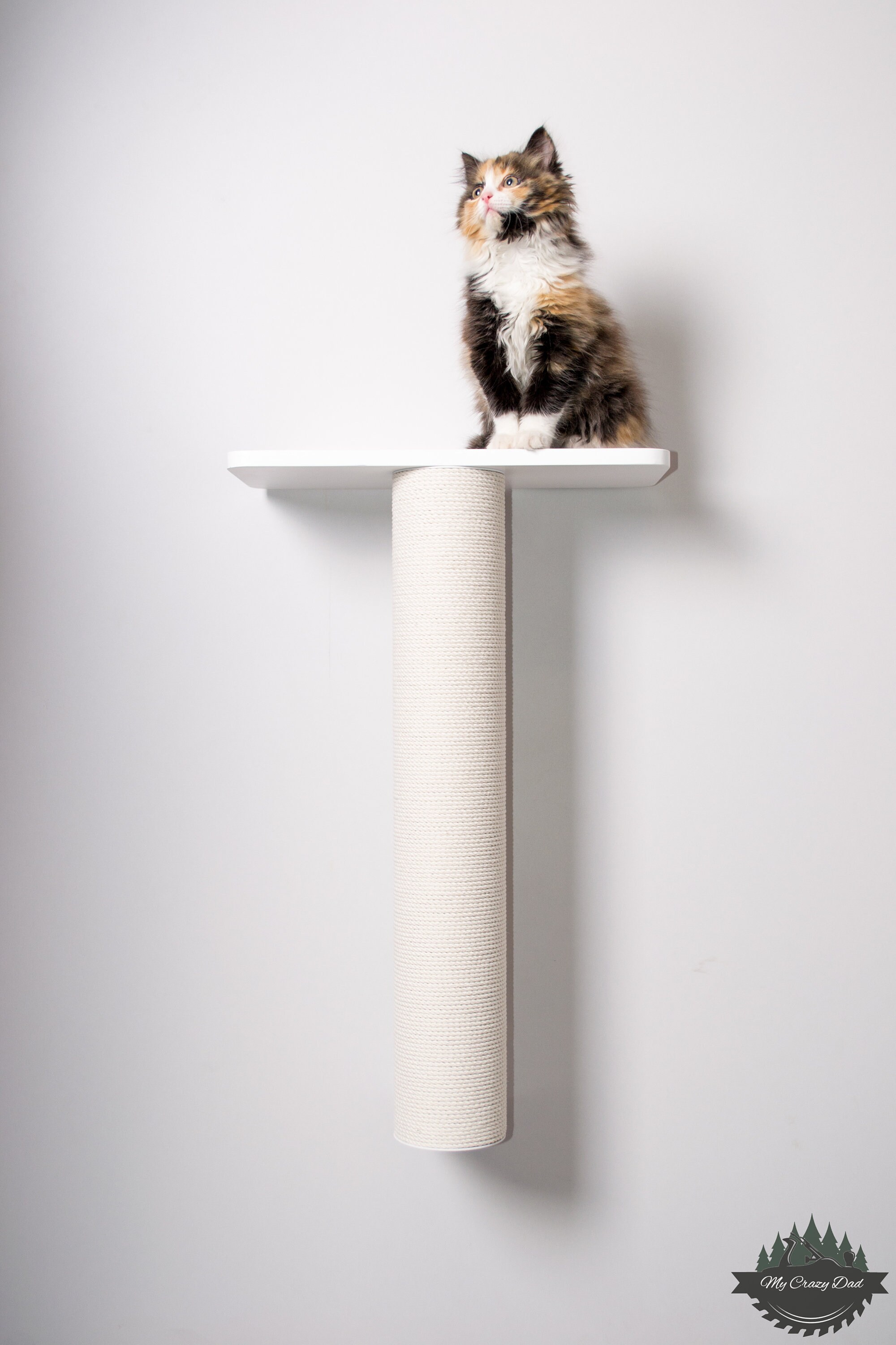 White Cat Scratcher With Shelf 23.6 60cm Wall Mounted White Cotton Black Cotton Jute Sisal Etsy