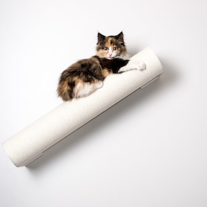 Puede incluir: Un gato calico con ojos verdes está tumbado en un rascador blanco para gatos. El rascador está montado en una pared blanca.