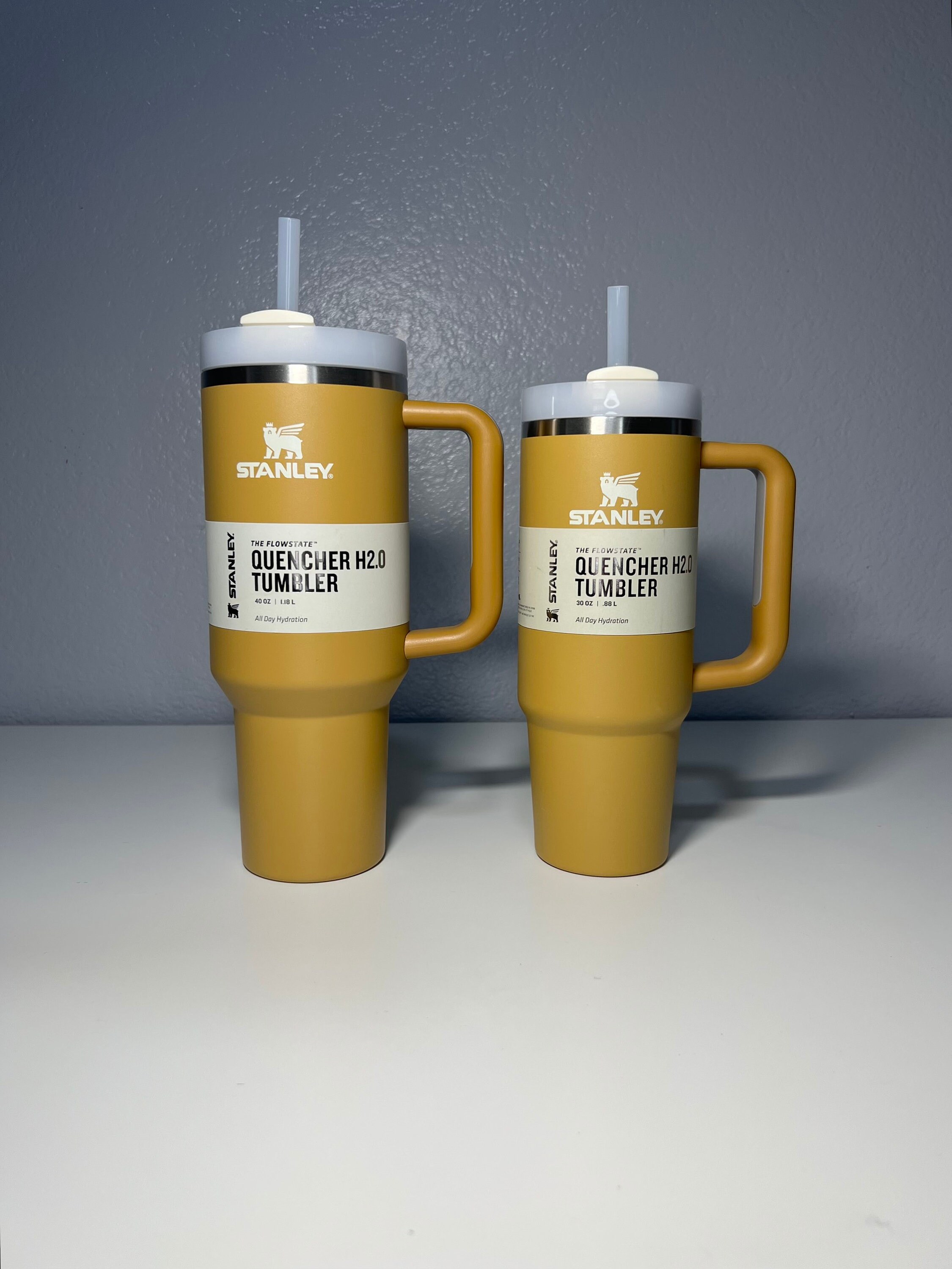 Stanley Quencher 2.0 FlowState 30 oz Tumbler in 2023