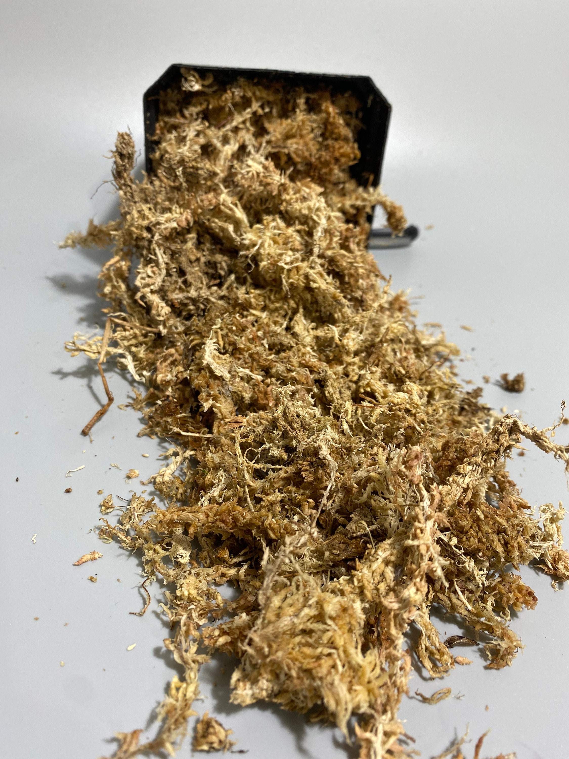 New Zealand Sphagnum Moss 100 Gram Compressed Brick 
