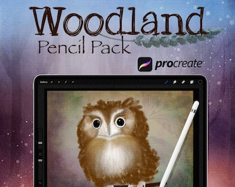 May include: A digital illustration of a brown owl with large eyes on a tablet screen. The screen shows the Procreate app with a brush tool selected. The text "Woodland Pencil Pack" is displayed above the tablet. The text "31 Pencil & Texture Brushes" is displayed below the tablet.
