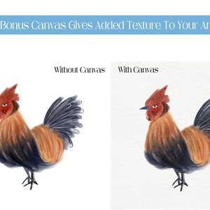 May include: Two illustrations of a rooster, one with a smooth background and the other with a textured canvas background. The rooster is brown, red, and black with a red comb and wattle.