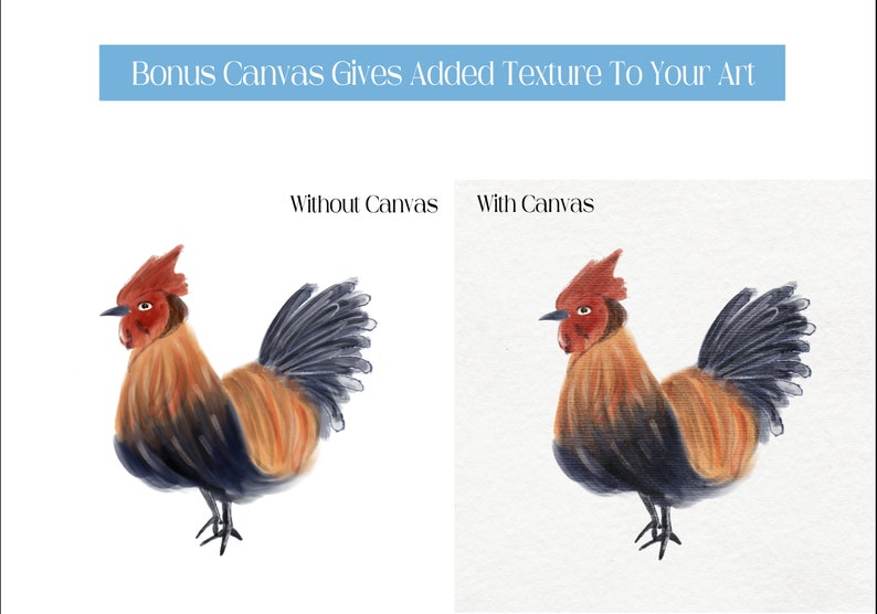 May include: Two illustrations of a rooster, one with a smooth background and the other with a textured canvas background. The rooster is brown, red, and black with a red comb and wattle.