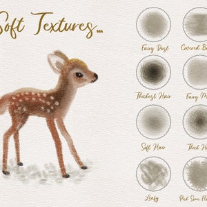 May include: A digital illustration of a fawn with brown and white spots standing on a white background. The image includes a title "Soft Textures..." and a grid of nine different textures labeled with names like "Fairy Dust", "Covered Bridge", "Thickest Hair", "Fairy Mist", "Soft Hair", "Thick Hair", "Leafy", and "Pick Some Flowers".