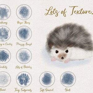 May include: A digital illustration of a hedgehog with the text "Lots of Texture."  Below the hedgehog are 10 circles, each containing a different texture pattern. The patterns are labeled with names like "Pathway", "Pozon Thorns", "Walking in Circles", "Messy Brush", "Crickets", "Lots of Patches", "Patch", "Tiny Footprints", "Soft Gravel", and "Grit".