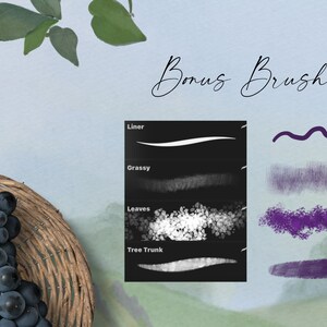 May include: A set of digital brushes for use in digital art programs. The brushes are displayed on a black background with the names "Liner", "Grassy", "Leaves", and "Tree Trunk". The brush strokes are shown in white and gray. The image also shows examples of the brushes in use, with purple brush strokes on a light blue background. The text "Bonus Brushes" is written in cursive at the top of the image.