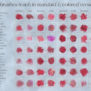 May include: A chart showing 28 different brush strokes, each in a standard and colored version. The brush strokes are all red and pink and are arranged in a grid.