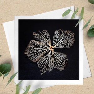 Skeleton hydrangea card, Nature, art, photography, birthday, winter, flowers
